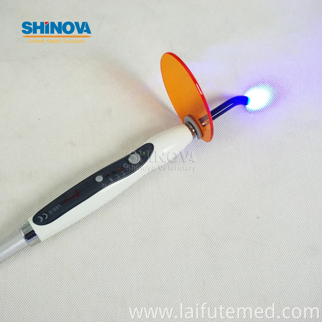 Dentistry Equipment Portable Dental Unit Dental Treatment Pd-893